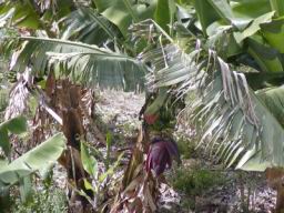 Resize of P21010148.JPG